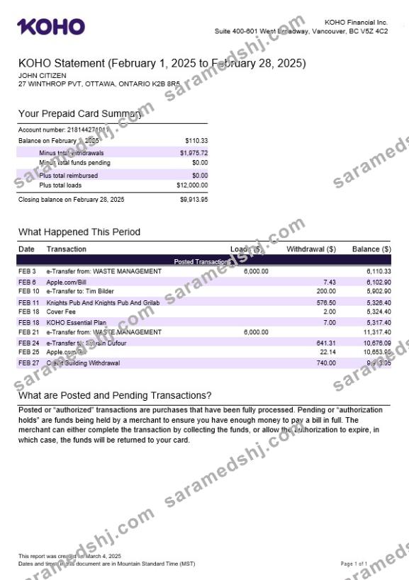 Canada KOHO Financial Incorporated statement template in Word and PDF formats